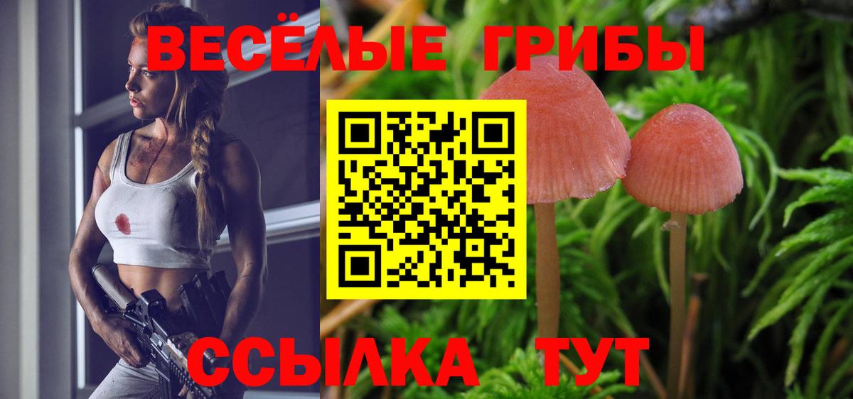 Псилоцибиновые грибы прущие грибы  наркота  Долгопрудный  Галлюциногенные грибы Psilocybe  Вход с VPN 